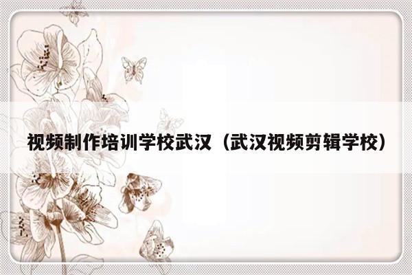 视频制作培训学校武汉（武汉视频剪辑学校）-第1张图片-乐修号