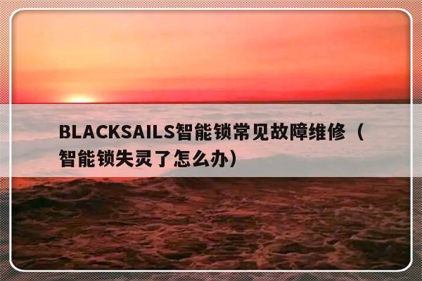 BLACKSAILS智能锁常见故障维修（智能锁失灵了怎么办）-第1张图片-乐修号