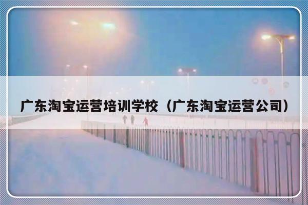 广东淘宝运营培训学校（广东淘宝运营公司）-第1张图片-乐修号