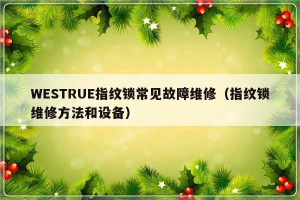 WESTRUE指纹锁常见故障维修（指纹锁维修方法和设备）-第1张图片-乐修号