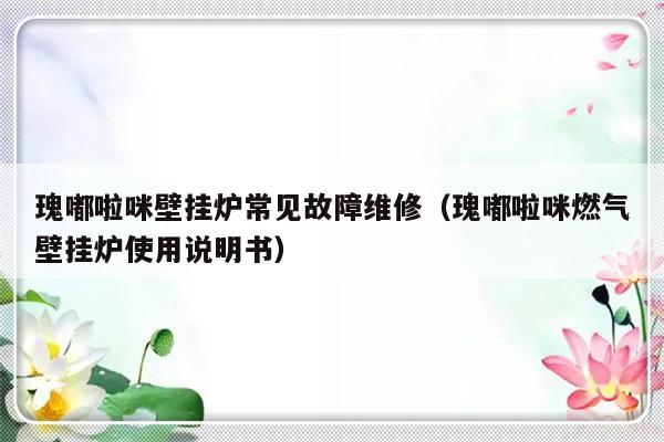 瑰嘟啦咪壁挂炉常见故障维修（瑰嘟啦咪燃气壁挂炉使用说明书）-第1张图片-乐修号