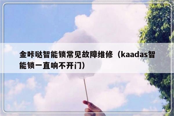 金咔哒智能锁常见故障维修（kaadas智能锁一直响不开门）-第1张图片-乐修号