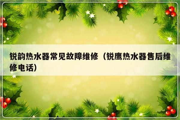 锐韵热水器常见故障维修（锐鹰热水器售后维修电话）-第1张图片-乐修号