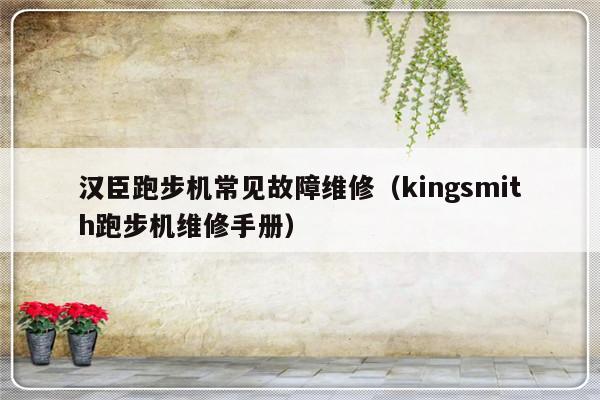 汉臣跑步机常见故障维修（kingsmith跑步机维修手册）-第1张图片-乐修号