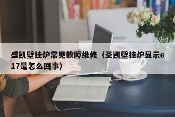 盛凯壁挂炉常见故障维修（圣凯壁挂炉显示e17是怎么回事）-第1张图片-乐修号