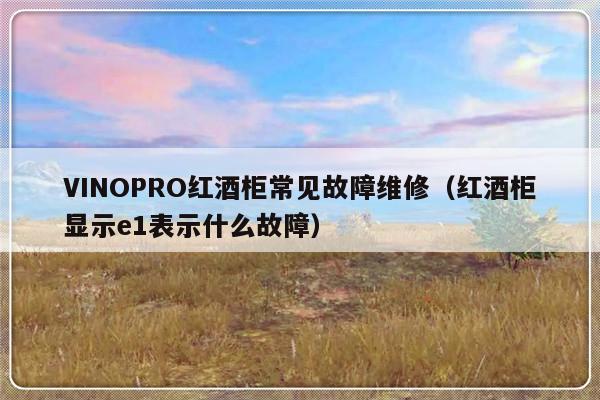 VINOPRO红酒柜常见故障维修（红酒柜显示e1表示什么故障）-第1张图片-乐修号