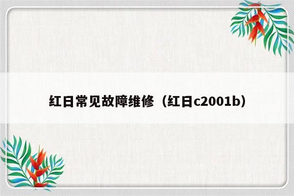 红日常见故障维修（红日c2001b）-第1张图片-乐修号