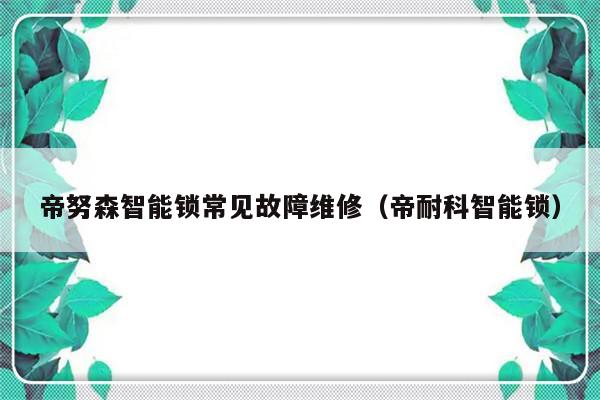 帝努森智能锁常见故障维修（帝耐科智能锁）-第1张图片-乐修号