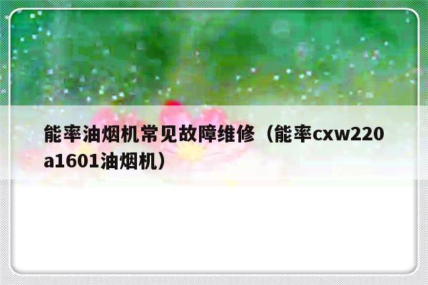 能率油烟机常见故障维修（能率cxw220a1601油烟机）-第1张图片-乐修号