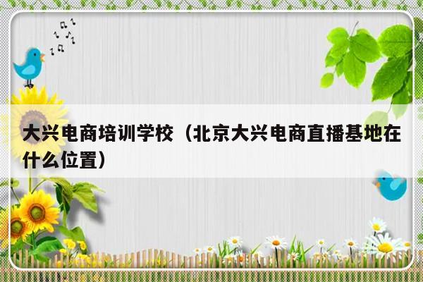 大兴电商培训学校（北京大兴电商直播基地在什么位置）-第1张图片-乐修号