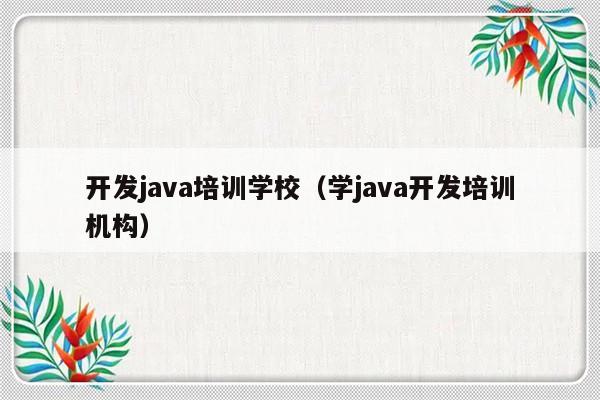 开发java培训学校（学java开发培训机构）-第1张图片-乐修号