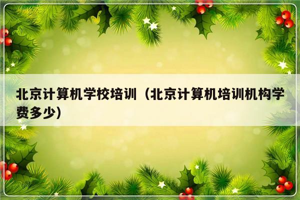 北京计算机学校培训（北京计算机培训机构学费多少）-第1张图片-乐修号