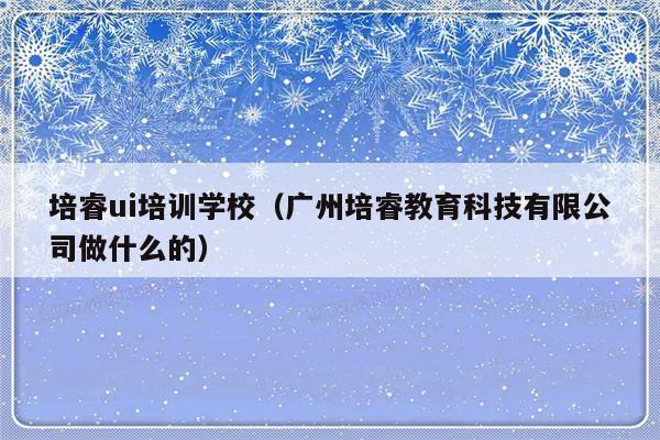 培睿ui培训学校（广州培睿教育科技有限公司做什么的）-第1张图片-乐修号