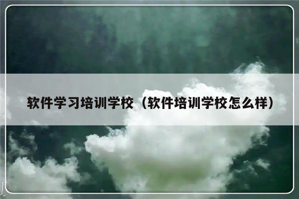 软件学习培训学校（软件培训学校怎么样）-第1张图片-乐修号