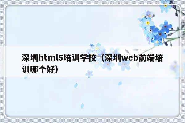 深圳html5培训学校（深圳web前端培训哪个好）-第1张图片-乐修号