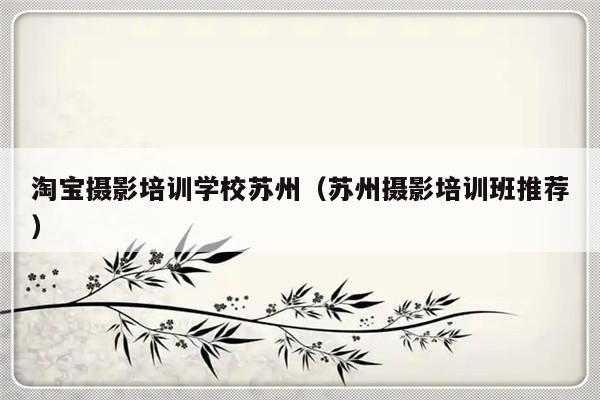 淘宝摄影培训学校苏州（苏州摄影培训班推荐）-第1张图片-乐修号