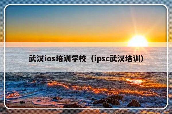 武汉ios培训学校（ipsc武汉培训）-第1张图片-乐修号