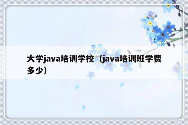 大学java培训学校（java培训班学费多少）-第1张图片-乐修号