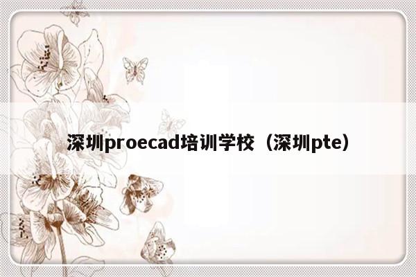 深圳proecad培训学校（深圳pte）-第1张图片-乐修号