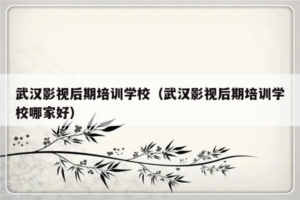 武汉影视后期培训学校（武汉影视后期培训学校哪家好）-第1张图片-乐修号