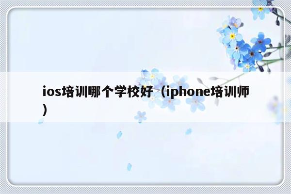 ios培训哪个学校好（iphone培训师）-第1张图片-乐修号