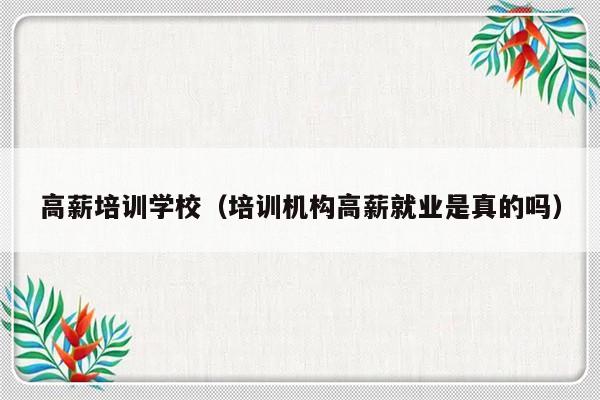 高薪培训学校（培训机构高薪就业是真的吗）-第1张图片-乐修号