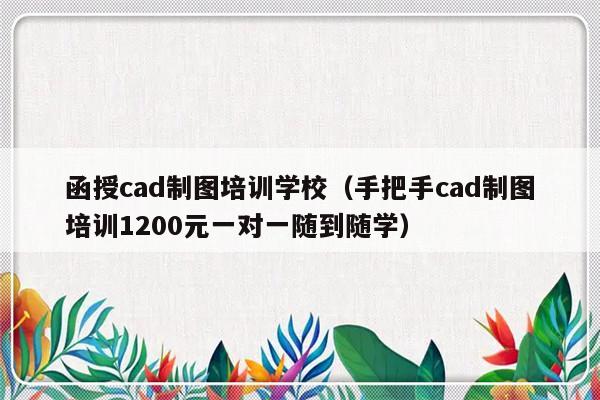 函授cad制图培训学校（手把手cad制图培训1200元一对一随到随学）-第1张图片-乐修号