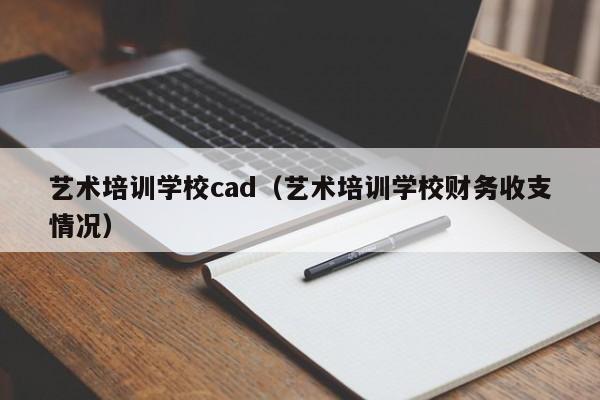 艺术培训学校cad（艺术培训学校财务收支情况）-第1张图片-乐修号