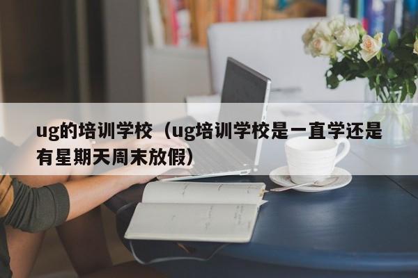 ug的培训学校（ug培训学校是一直学还是有星期天周末放假）-第1张图片-乐修号