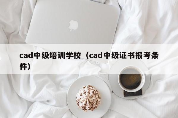 cad中级培训学校（cad中级证书报考条件）-第1张图片-乐修号