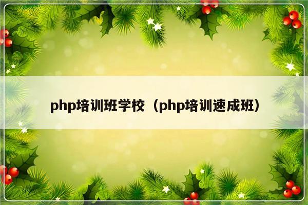 php培训班学校（php培训速成班）-第1张图片-乐修号