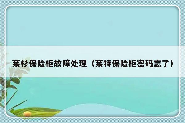 莱杉保险柜故障处理（莱特保险柜密码忘了）-第1张图片-乐修号