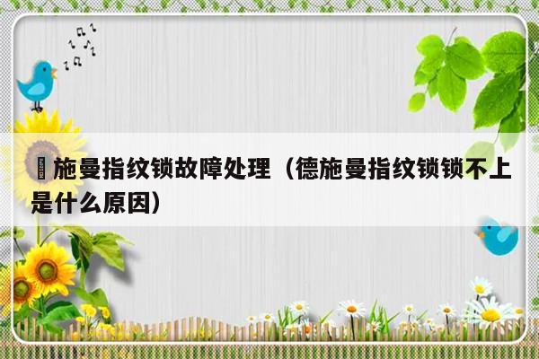 徳施曼指纹锁故障处理（德施曼指纹锁锁不上是什么原因）-第1张图片-乐修号