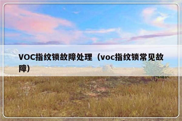 VOC指纹锁故障处理（voc指纹锁常见故障）-第1张图片-乐修号