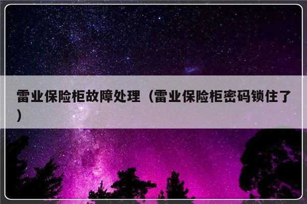 雷业保险柜故障处理（雷业保险柜密码锁住了）-第1张图片-乐修号