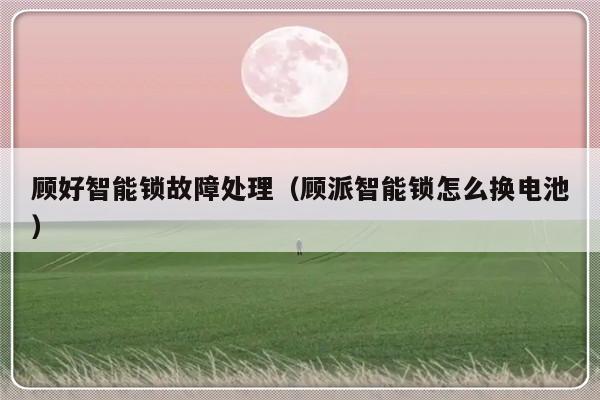 顾好智能锁故障处理（顾派智能锁怎么换电池）-第1张图片-乐修号
