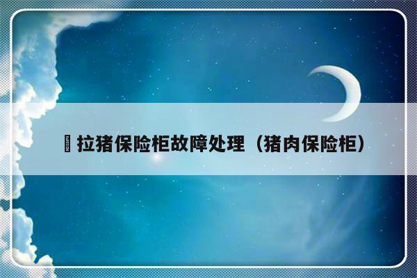 鼥拉猪保险柜故障处理（猪肉保险柜）-第1张图片-乐修号