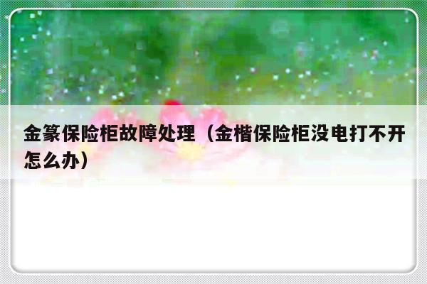 金篆保险柜故障处理（金楷保险柜没电打不开怎么办）-第1张图片-乐修号