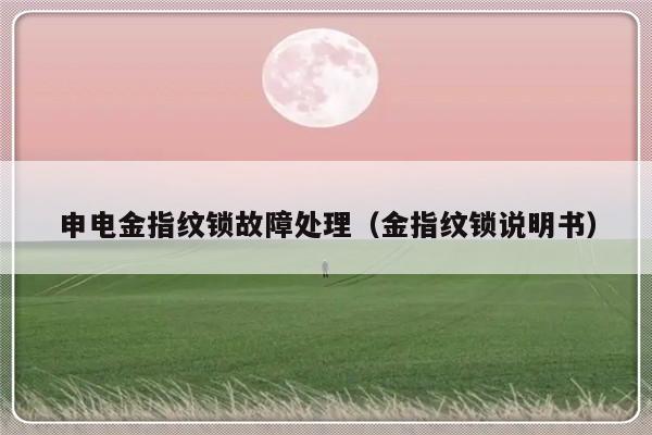 申电金指纹锁故障处理（金指纹锁说明书）-第1张图片-乐修号