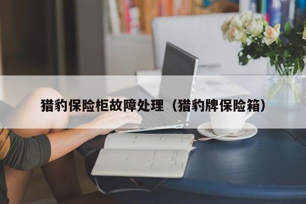 猎豹保险柜故障处理（猎豹牌保险箱）-第1张图片-乐修号