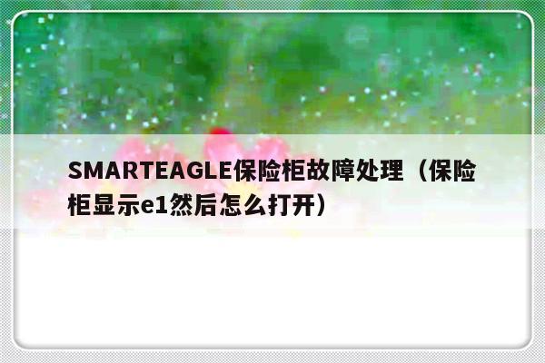 SMARTEAGLE保险柜故障处理（保险柜显示e1然后怎么打开）-第1张图片-乐修号