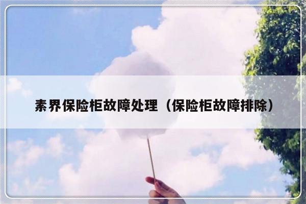 素界保险柜故障处理（保险柜故障排除）-第1张图片-乐修号