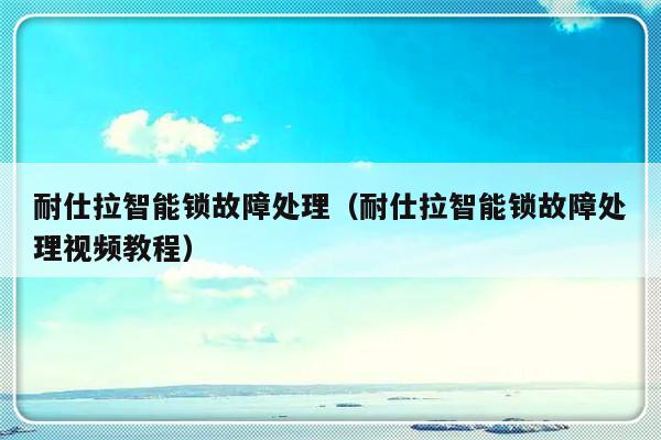 耐仕拉智能锁故障处理（耐仕拉智能锁故障处理视频教程）-第1张图片-乐修号