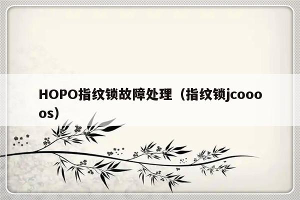 HOPO指纹锁故障处理（指纹锁jcoooos）-第1张图片-乐修号