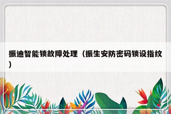 振迪智能锁故障处理（振生安防密码锁设指纹）-第1张图片-乐修号