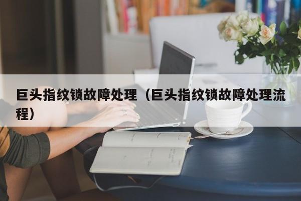 巨头指纹锁故障处理（巨头指纹锁故障处理流程）-第1张图片-乐修号