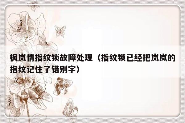 枫岚情指纹锁故障处理（指纹锁已经把岚岚的指纹记住了错别字）-第1张图片-乐修号