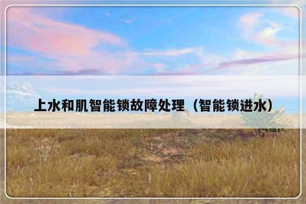 上水和肌智能锁故障处理（智能锁进水）-第1张图片-乐修号