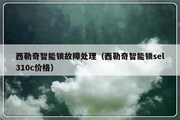 西勒奇智能锁故障处理（西勒奇智能锁sel310c价格）-第1张图片-乐修号