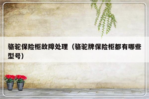 骆驼保险柜故障处理（骆驼牌保险柜都有哪些型号）-第1张图片-乐修号